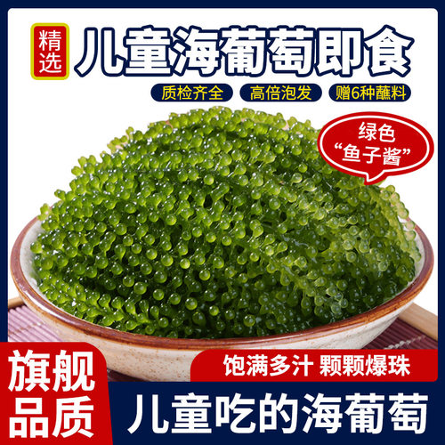 儿童海葡萄即食官方旗舰店小孩吃的健康零食网红吃播食物新鲜盐渍