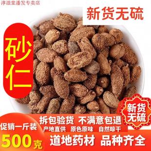 北京砂仁草500g正宗无硫砂仁毛砂仁沙仁煲汤泡水