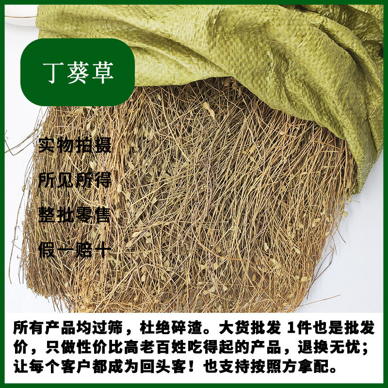 人字草 中药材丁葵草500g二叶人字草乌 蝇翼草丁贵草苍蝇翼蚂蚁草