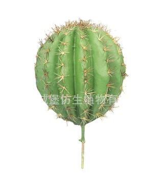 仿真仙人球多肉热带植物盆景室内家居摆件绿植盆栽仿真绿植盆景