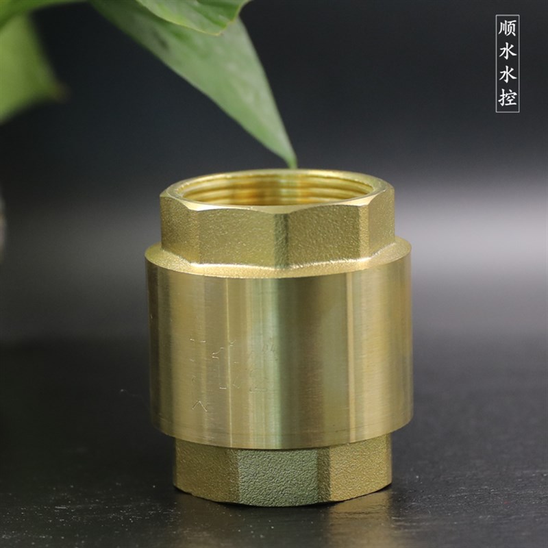 4分6分1寸全黄铜立式止回阀 水管水表止逆阀弹簧单向阀dn15 20 25