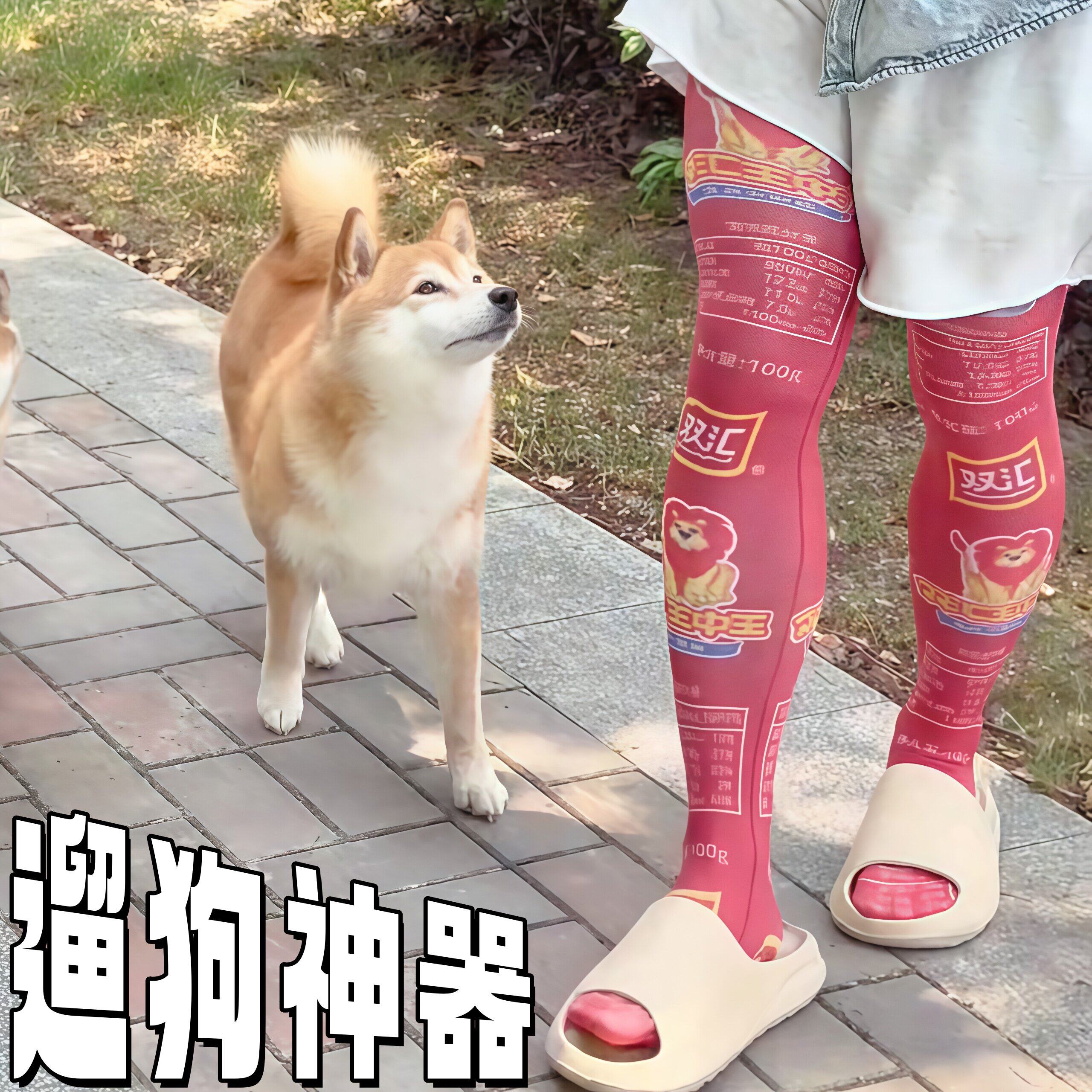 【遛狗神器】火腿肠丝袜