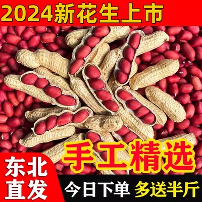 2025年新花生米红皮带壳生四粒红花生米农家自种晒干炒货原味花生