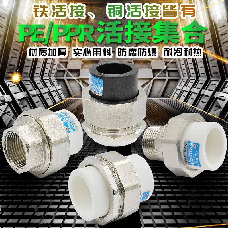 PPR外丝牙内丝牙双头PPR转PE铜活接转换活接水管管材管件配件接头