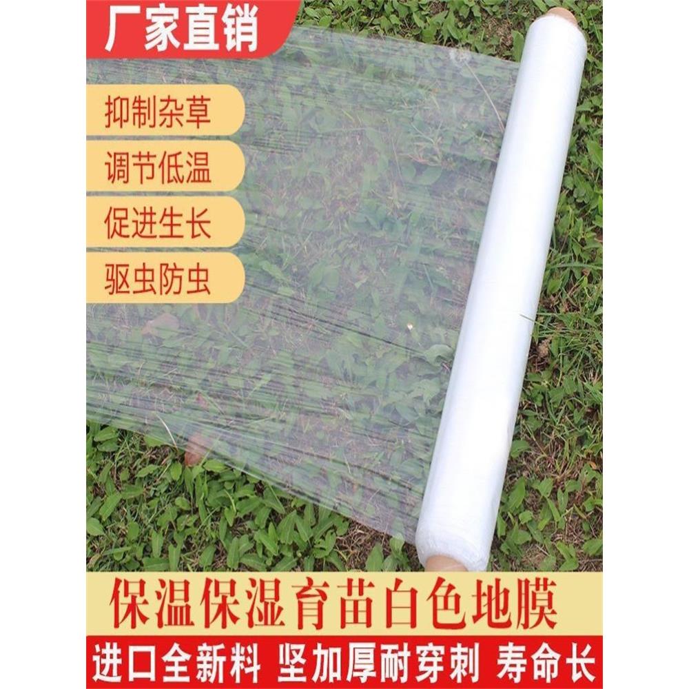 农用白色地膜小拱棚专用膜二膜加厚透明保温保湿大棚塑料薄膜种菜