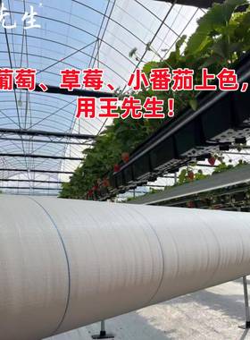 王先生白色防草布大棚温室种植长寿命耐磨无土栽培反光园艺地布