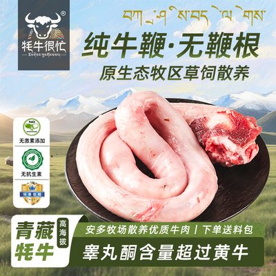 牛鞭新鲜不带蛋原割全套牛蛋牛宝牛三宝整只现杀冷冻煲汤材料养生