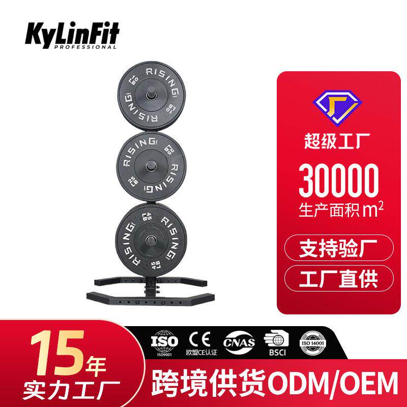 杠铃铃片存储架放置架家用商用私教健身房奥杆奥片架子三层收纳架