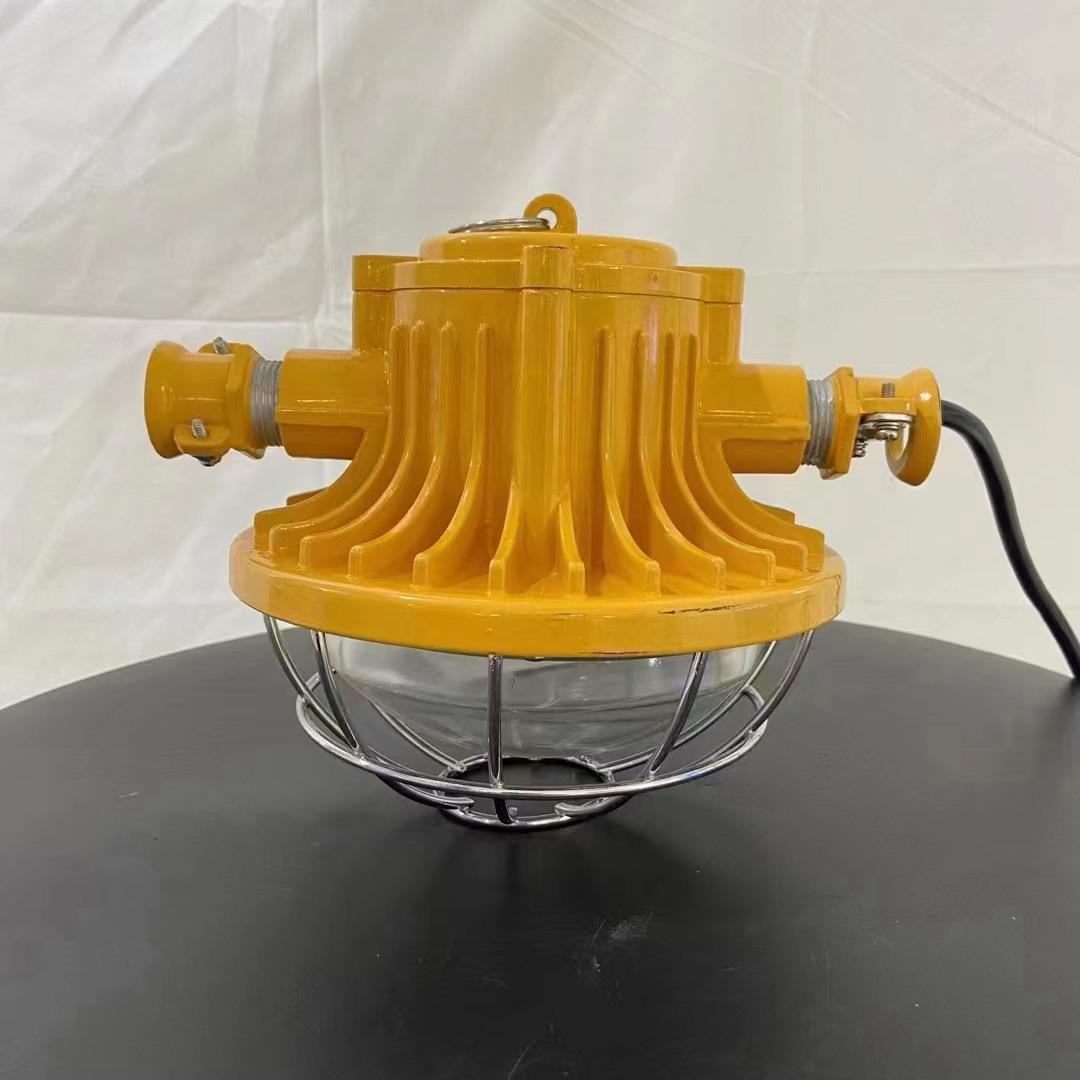 圆形防爆灯矿用隔爆型LED巷道灯DGS12/127L(A)12W-80W支架灯
