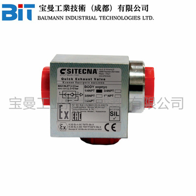 Sitecna工业级快速排气阀VSR02NSSLT不锈钢1/8''NPT自排水DN8