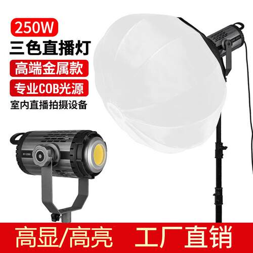 八代250w金属高亮U型支架补光常亮灯直播摄影球灯深抛补光灯