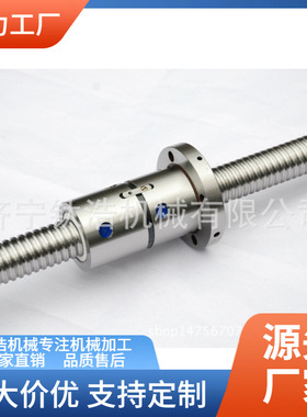 西安普利森托滚丝杠CT66014/CT66017厂家格