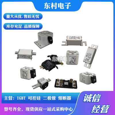 熔断器170M2618 170M2619 170M2620 170M2621全新现货大量现货