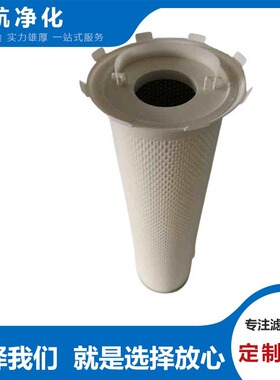 D53B20EV索菲玛滤芯D53A40TAV颇尔滤芯D53B10BV雅歌滤芯D53B20FV