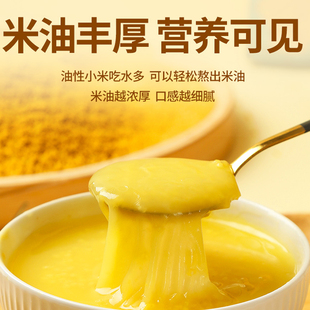 2斤真空晋谷21号黄小米山西吕梁兴县小米新米农家小米粥杂粮