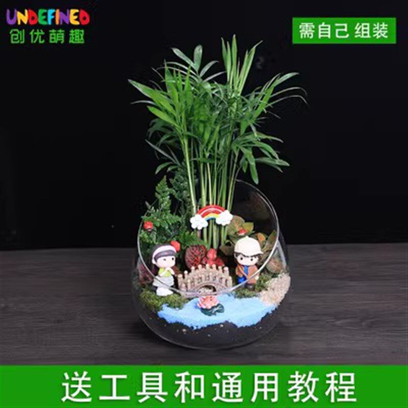 速发宽口切口瓶苔藓微景观生态瓶料材包创意玻璃植物盆栽摆件套装
