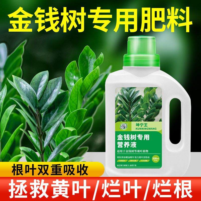 速发金钱料树专用营养液植物财用型家用室内盆栽养花发通树防黄叶