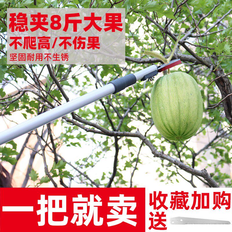 速发高空伸缩摘果果采果剪摘果器摘柿子荔枝龙眼枇杷工具高枝摘剪