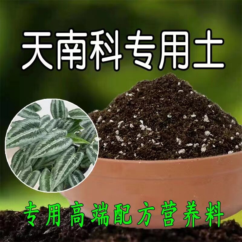速发天南科土天南科营养土盆料家庭种花肥植土养花有机土壤种栽土