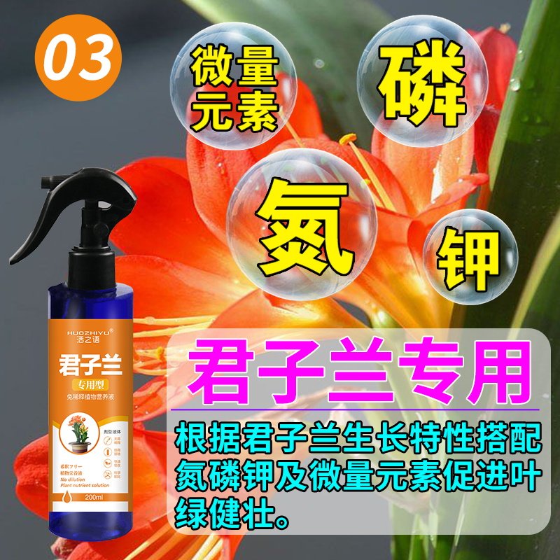 现货速发君子兰烂根药治兰花黄叶病黑斑营养液防空根爆芽不开花促