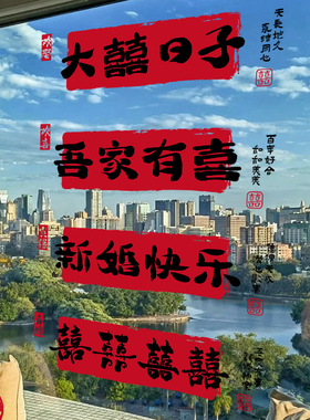速发结婚喜字专用静电贴纸门房布置套装卧室婚贴花玻璃窗装饰婚礼