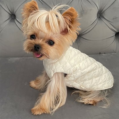 速发小甜约服秋冬加咪马甲外套粥克夏马尔济斯小型犬猫棉衣服