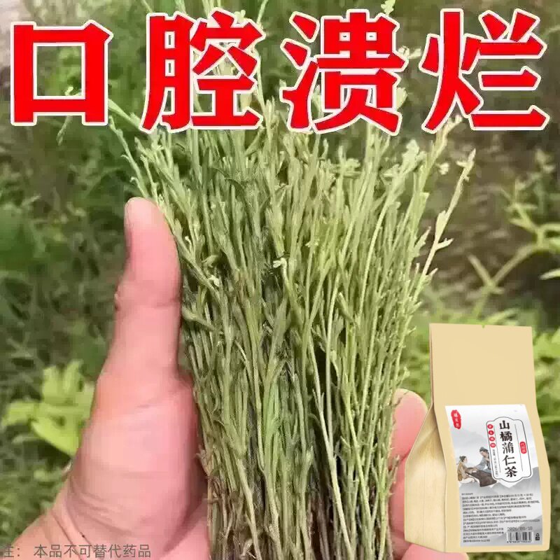 长期火气大口舌生疮牙龈肿痛上火起泡嘴唇溃烂经常上火山橘蒲仁茶