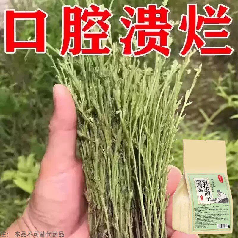 长期火气大口舌生疮牙龈肿痛上火起泡嘴唇溃烂经常上火决明子薄荷