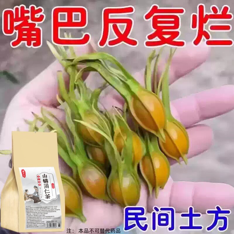 长期火气大口舌生疮牙龈肿痛上火起泡嘴唇溃烂经常上火山橘蒲仁茶