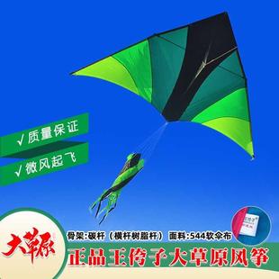 潍坊王侉子风筝2022新款 伞布碳杆大草原微风大型成人高档三角风筝