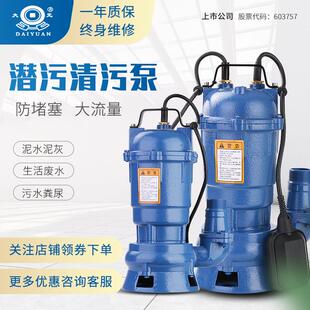 污水泵潜水泵家用排污泵泥浆泵380 大元 220V单相化粪池无堵塞2寸