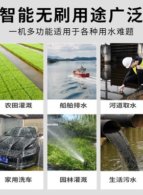 无刷直流潜水泵高扬程大流量48V60V72伏通用电动电瓶车抽水泵抽水