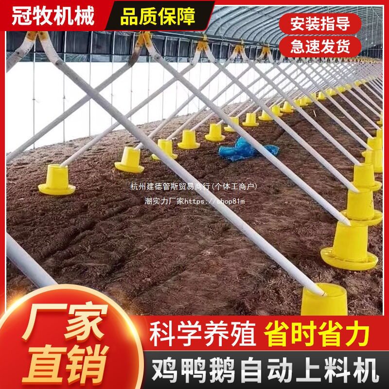养鸡场自动喂料机养鸭自动喂料机投料机绞龙料线鸡鸭鹅用简易料线