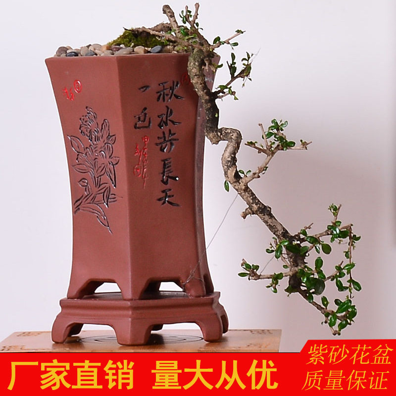 紫砂陶瓷兰花盆 桌面中等植物种植春兰盆 盆景君子兰圆形紫砂花盆