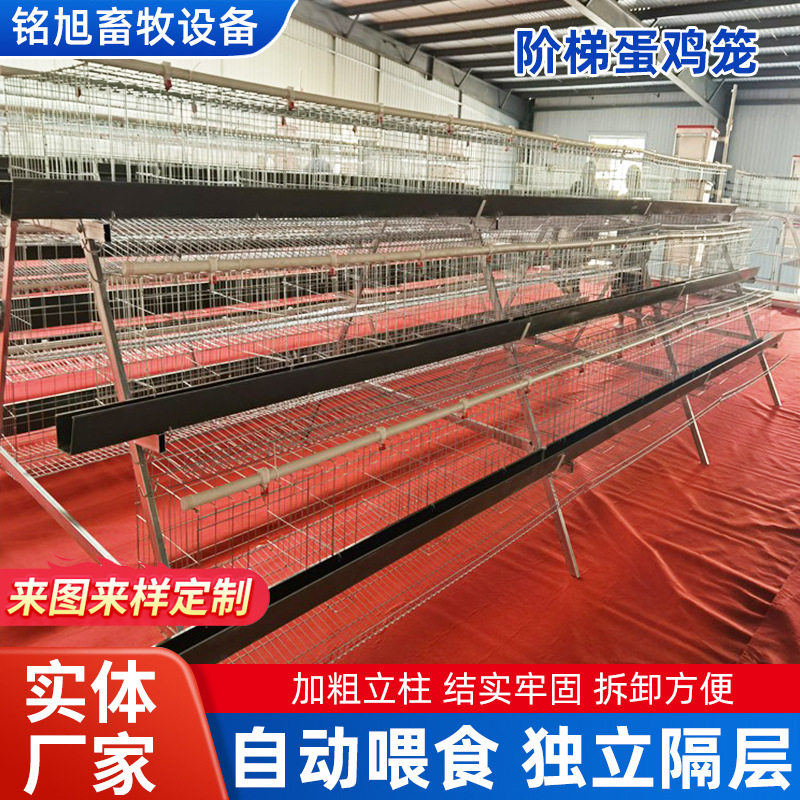 三层阶梯式加宽热镀锌鸡笼