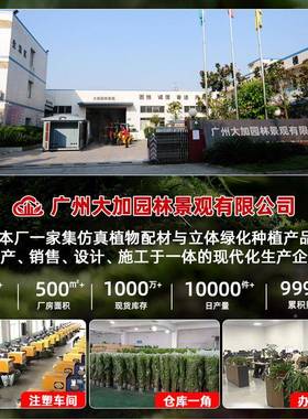 仿真植造BMO景箱摆件装饰塑绿假植物室花内外料院子橱窗植物组合