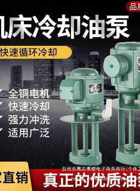 18244DB水AB机床床油泵冷却循环磨电泵单相220V三相380V泵0W490W