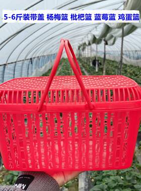 4斤6HSO装塑料斤水果篮草子枇杷篮篮子塑料手提方篮筐杨梅莓篮带