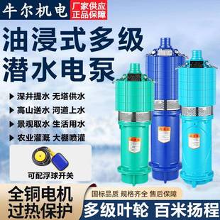 多级潜水泵大流量220V家用高扬程无塔供水深井抽水泵 上海QD油浸式