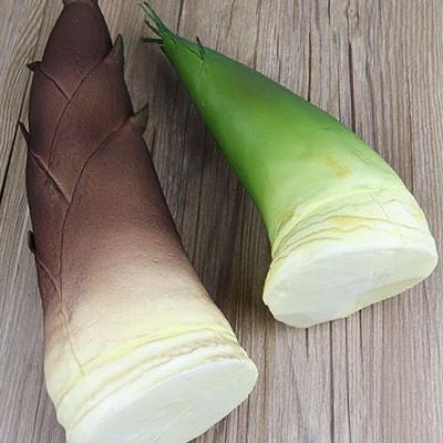 仿真笋 蔬菜假水果 仿真竹笋 春笋 拍摄道具儿童教学水果模型