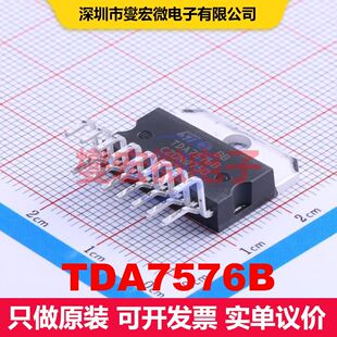 TDA7576B Through Hole 音频放大器 线性 集成芯片IC