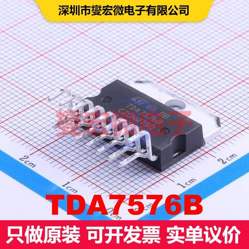 TDA7576B Through Hole 音频放大器 线性 集成芯片IC