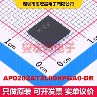 AP0202AT2L00XPGA0-DR VFBGA-100 视频处理器 线性 集成芯片IC