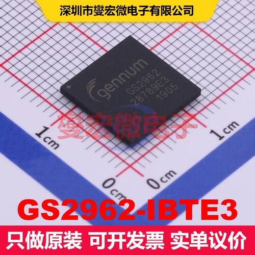 GS2962-IBTE3 BGA-100 视频处理器 线性 集成芯片IC