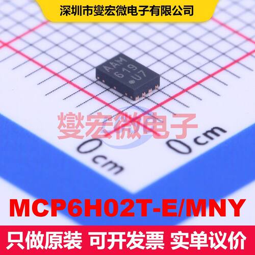 MCP6H02T-E/MNY TDFN-8-EP(2x3) 仪器放大器 线性 集成芯片IC