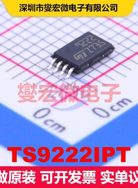 TS9222IPT TSSOP-8 仪器放大器 线性 集成芯片IC