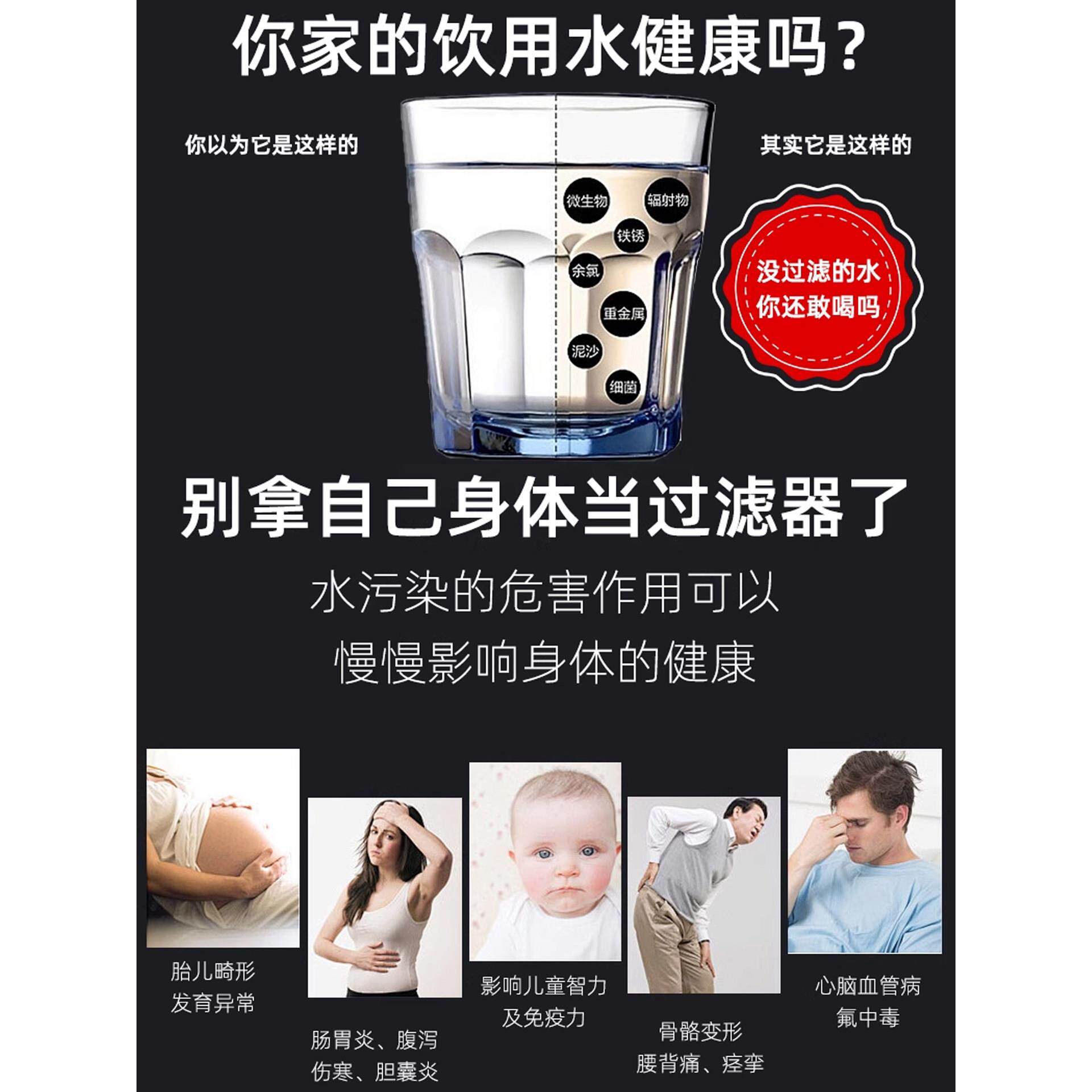 蓝珍滤家用A1厨净水器自来水过房通用珠滤芯井水自吸净新A1水机