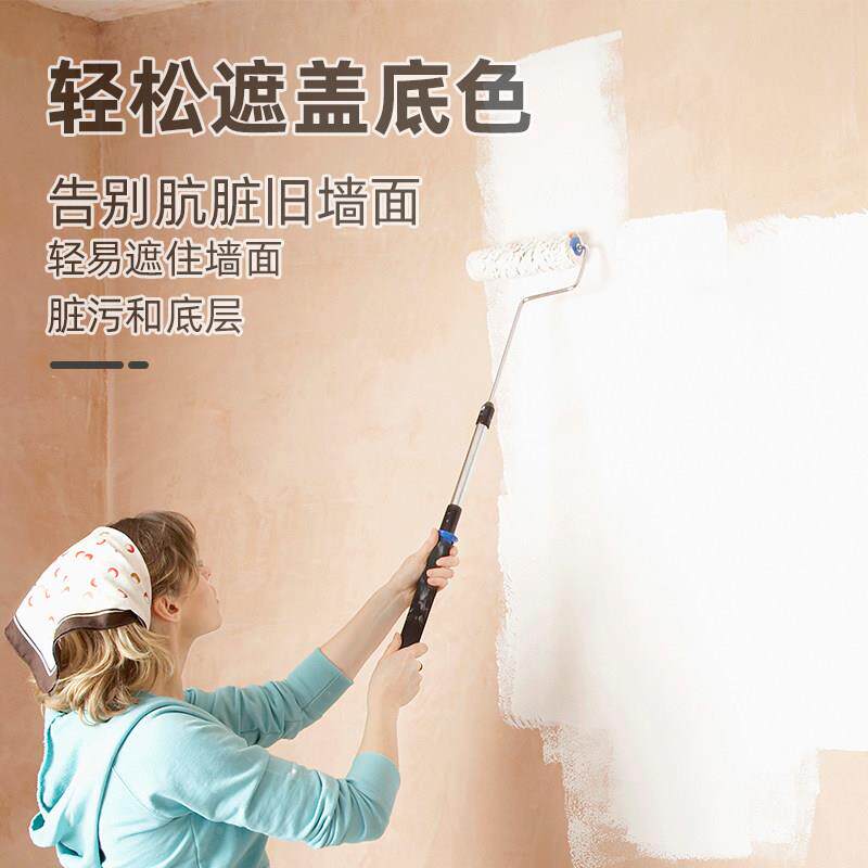 胶乳漆墙面漆室翻白色刷墙内涂料防水防霉家用面漆速干墙漆内墙
