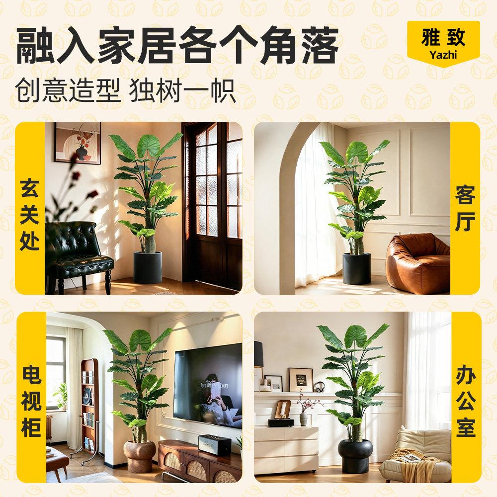真树假室内装饰高端轻奢滴水音观假树植仿滴水观音物盆景客厅绿植
