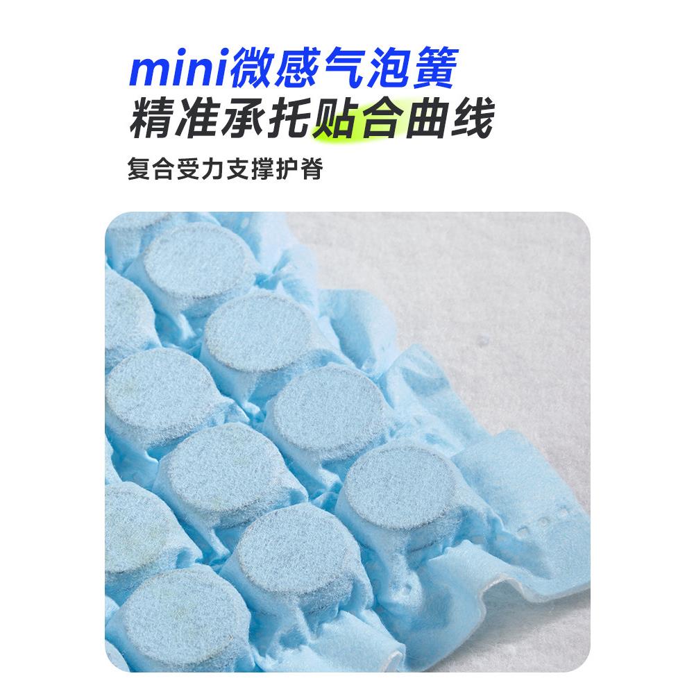艾舒全可拆卸床麻垫透气棉袋席梦思软硬可调单弹垫簧787床结构大